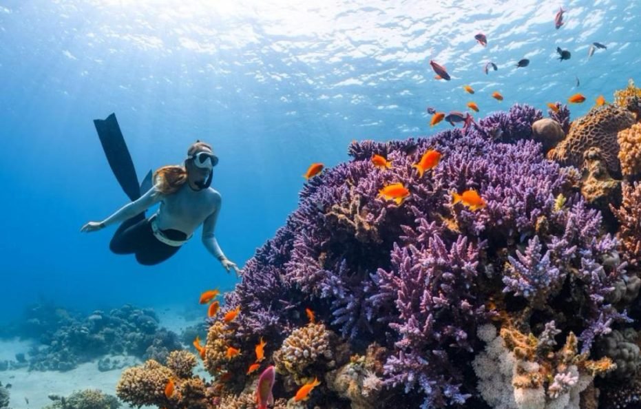 Pickalbatros Palace Sharm – “Aqua Park