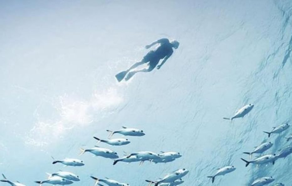 Pickalbatros Palace Sharm – “Aqua Park