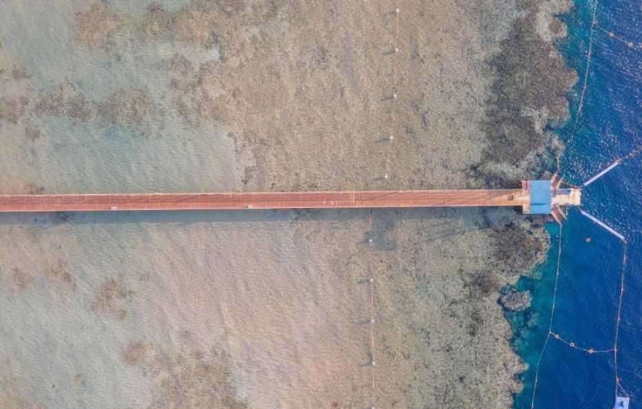 Pickalbatros Palace Sharm – “Aqua Park